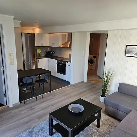 50 Kvm Sokkel Leilighet Pa Manglerud Apartment