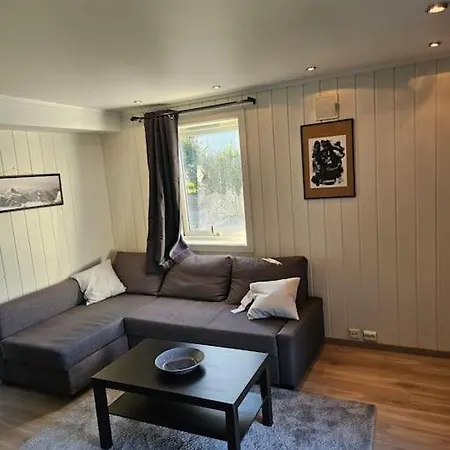 Apartment 50 Kvm Sokkel Leilighet Pa Manglerud