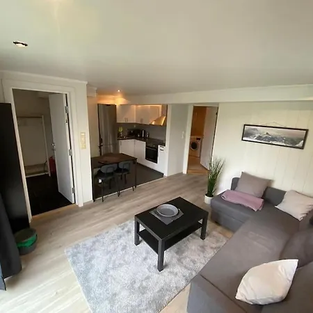 Apartment 50 Kvm Sokkel Leilighet Pa Manglerud Oslo